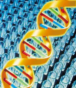 Новые сайты знакомств предлагают пару по ДНК