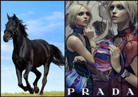 Дом Prada посадил моделей на лошадей 