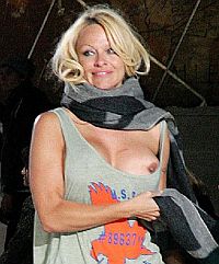 Памела Андерсон потеряла грудь в Париже