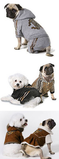 На днях Роберто Кавалли представил дебютную коллекцию собачьей одежды. Собачки смогут одеться под стать хозяевам. Модные звериные тенденции не отличаются от человечьих. В коллекции все те же звериные принты, окрас под леопарда и пестрые расцветки.