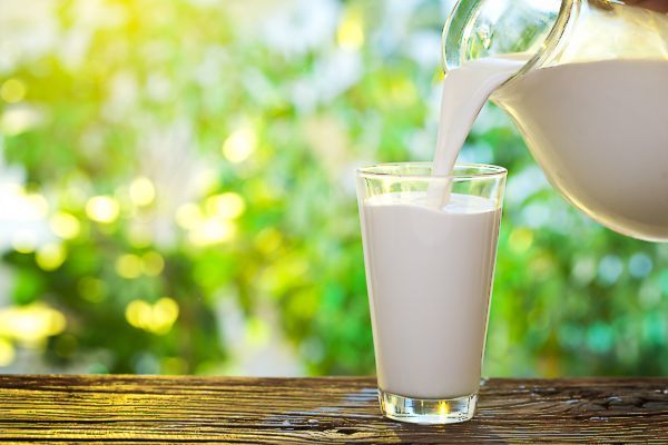 Ученые: молоко －лучший напиток для похудения