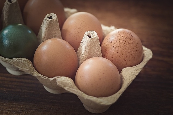 Яйца можно есть в любом количестве