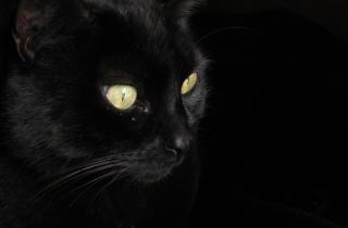 Почему поколение Z тянется к 