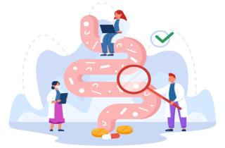 3 простых шага к идеальному пищеварению: что важно знать о клетчатке