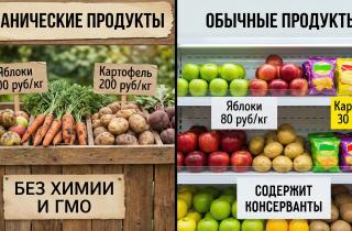 Экономика тарелки: нутрициолог Анна Гордеева о том, почему дешевые калории — это самый дорогой путь к болезням