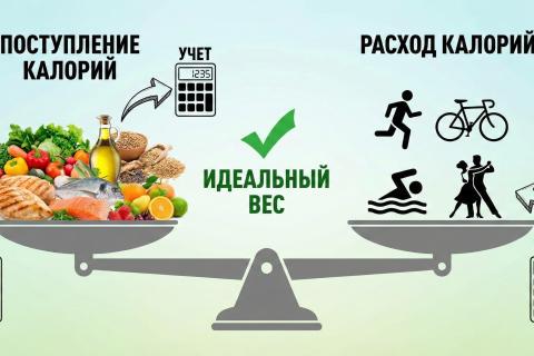 Калорийная бухгалтерия: нутрициолог Анна Гордеева о том, почему оливковое масло — ваш главный проект против старения