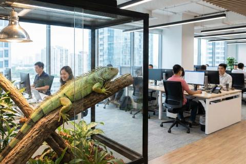 Аквариум на столе или кролик в приемной: какие животные реально повышают КПД и лояльность клиентов