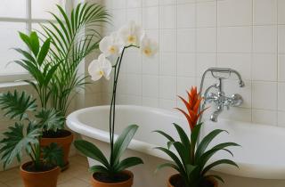 Мифы о бомбочках для ванн, которые могут стать причиной больших проблем