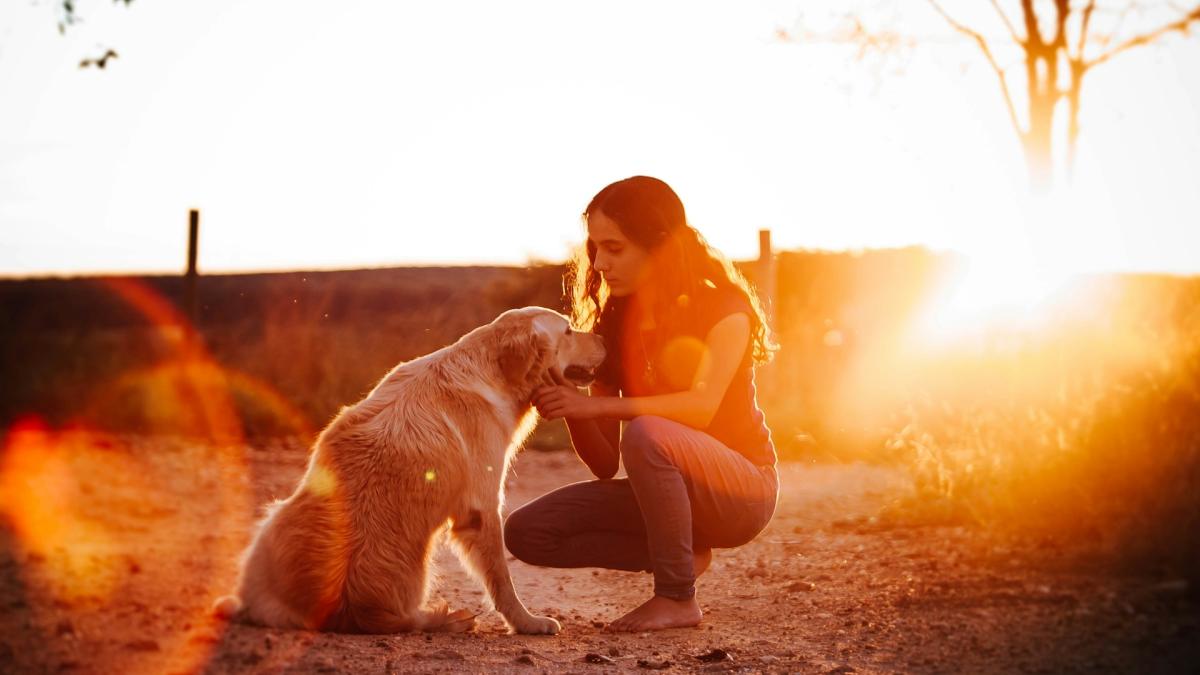 Девушка с собакой