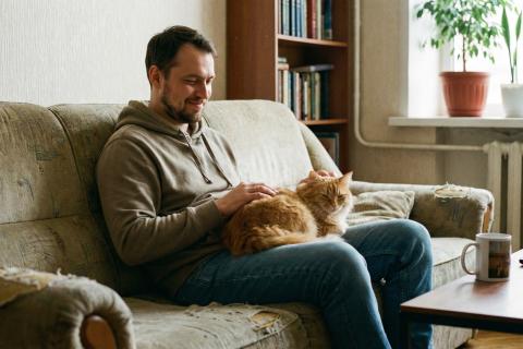 Скажи мне, кто твой зверь: Как домашний питомец выдает скрытые мании вашего избранника