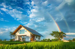 Разнообразие в питании: что такое цветная диета и как она работает