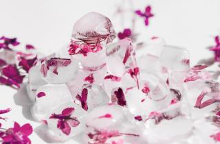 Секреты очистки кожи от прыщей: лед при шоковой терапии