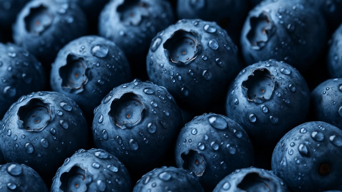 Черника и пестициды