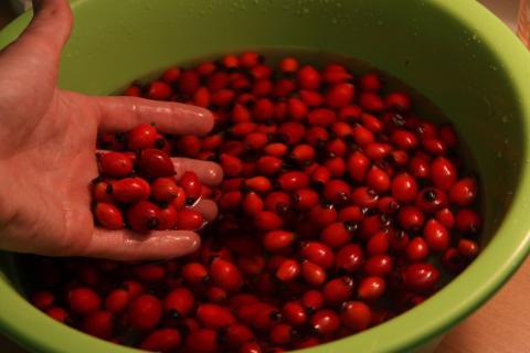 5 причин, почему масло шиповника — ваш новый must-have в уходе за кожей