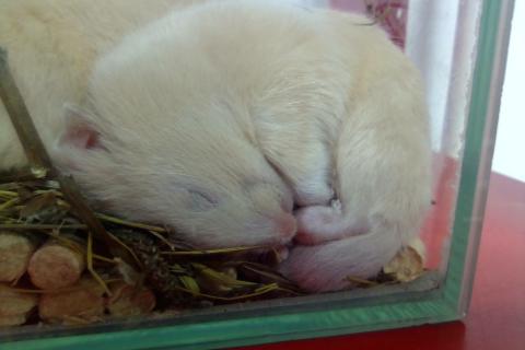 Работа без смысла: 3 ключевые причины, почему люди становятся офисными хомячками и как это исправить