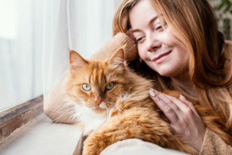 Топ-5 удивительных эффектов общения с кошкой на ваше настроение