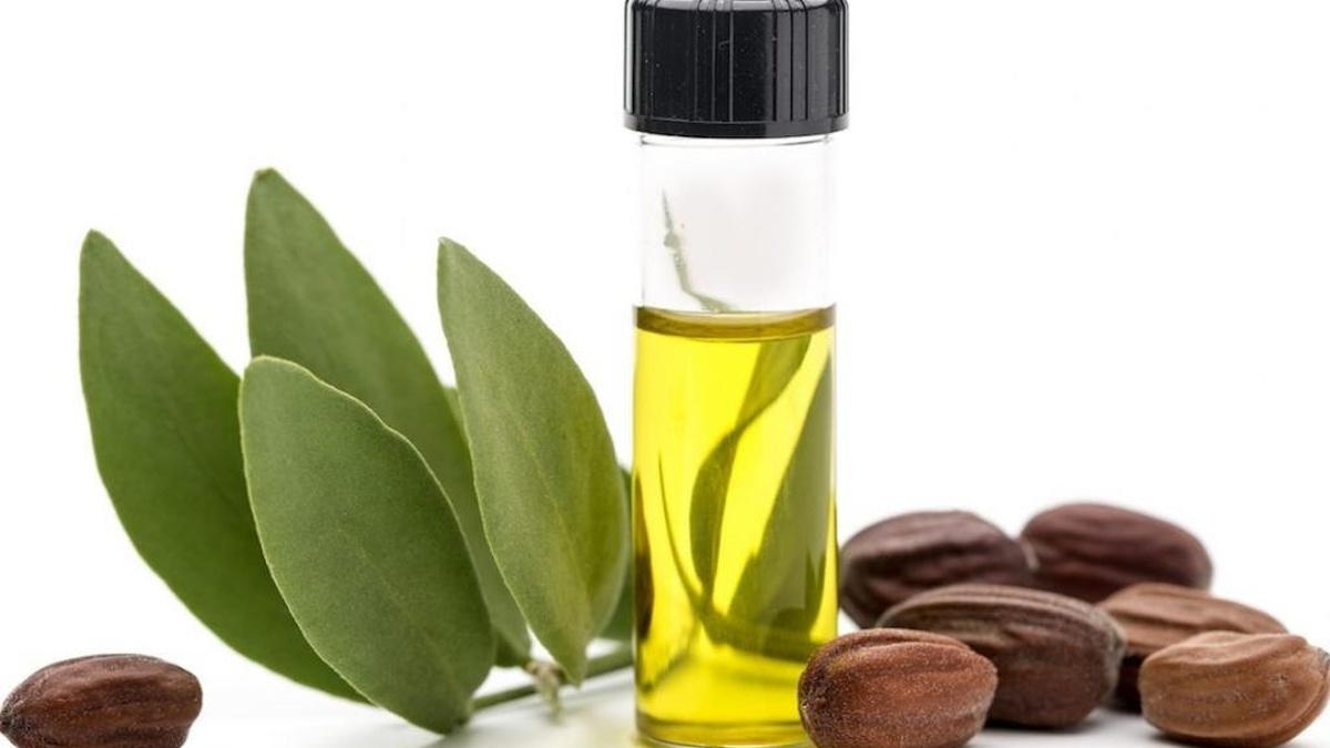 Масло жожоба