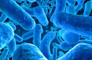 Когда пробиотики действительно нужны женщинам: разберёмся вместе