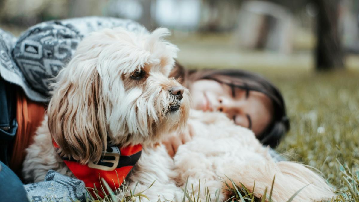 Девушка с собакой