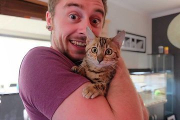 5 признаков, что ваша кошка переняла ваши привычки: взгляд зоопсихолога