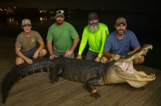 Любовь и астрология: как превратить слабые места знаков в сильные в ваших отношениях?