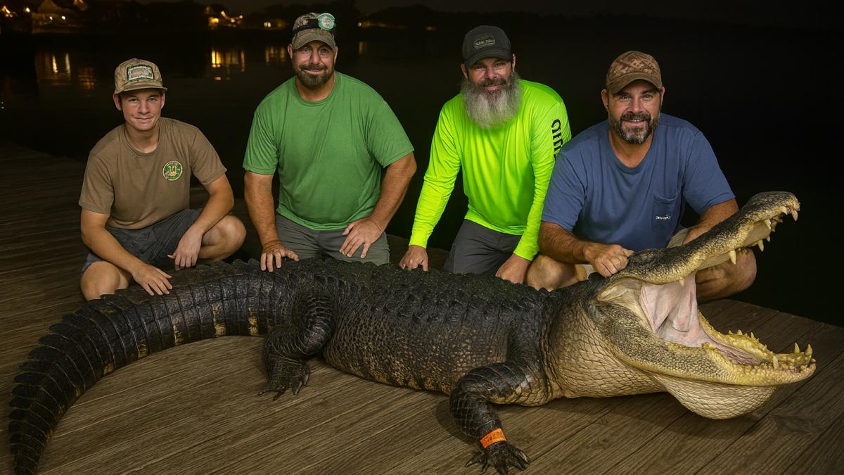 Охота на гигантского аллигатора