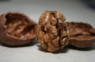 Диета для страсти: как питание влияет на гормоны и интимное влечение