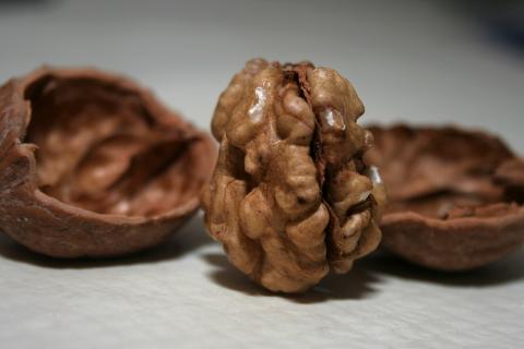 Диета для страсти: как питание влияет на гормоны и интимное влечение