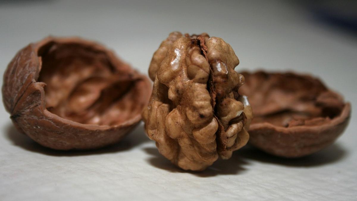 Грецкий орех