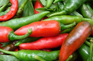 Кайенский перец — верный помощник в борьбе с лишним весом