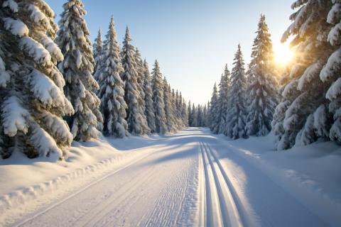 Места, куда стоит поехать одной: бюджетные направления для россиянок