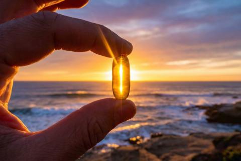 Золото океана: почему Омега-3 из рыбьего жира — это не просто добавка, а фундамент вашего долголетия