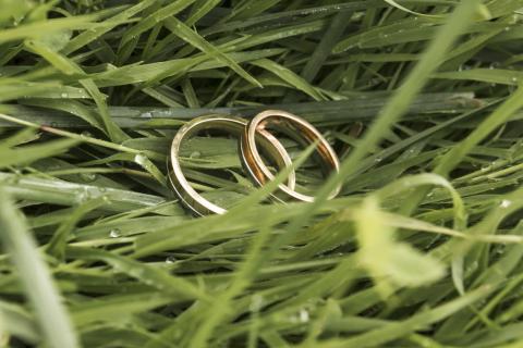 Второй шанс на любовь: как построить крепкий брак после развода – советы психолога