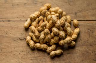 Древние знания в ваших руках: орехи как магический инструмент для предсказаний и раскрытия будущего