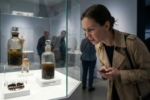 Во имя красоты: эти исторические бьюти-эксперименты повергают в шок