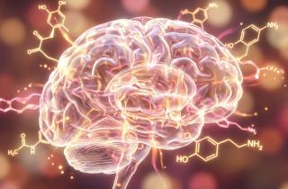 Биохимия любви: как гормональная буря управляет нашими чувствами – взгляд науки