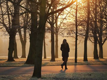 Эффективные советы для снижения стресса: как 30 минут прогулки, а не тренировки, сохранят здоровье.